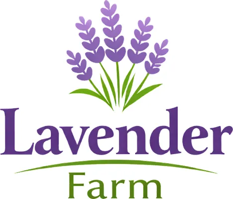 Lavender Farm